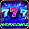 andy flower Pro Edition v5.7.8