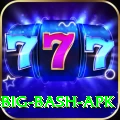 bbl big bash apk Deluxe v2.9.4
