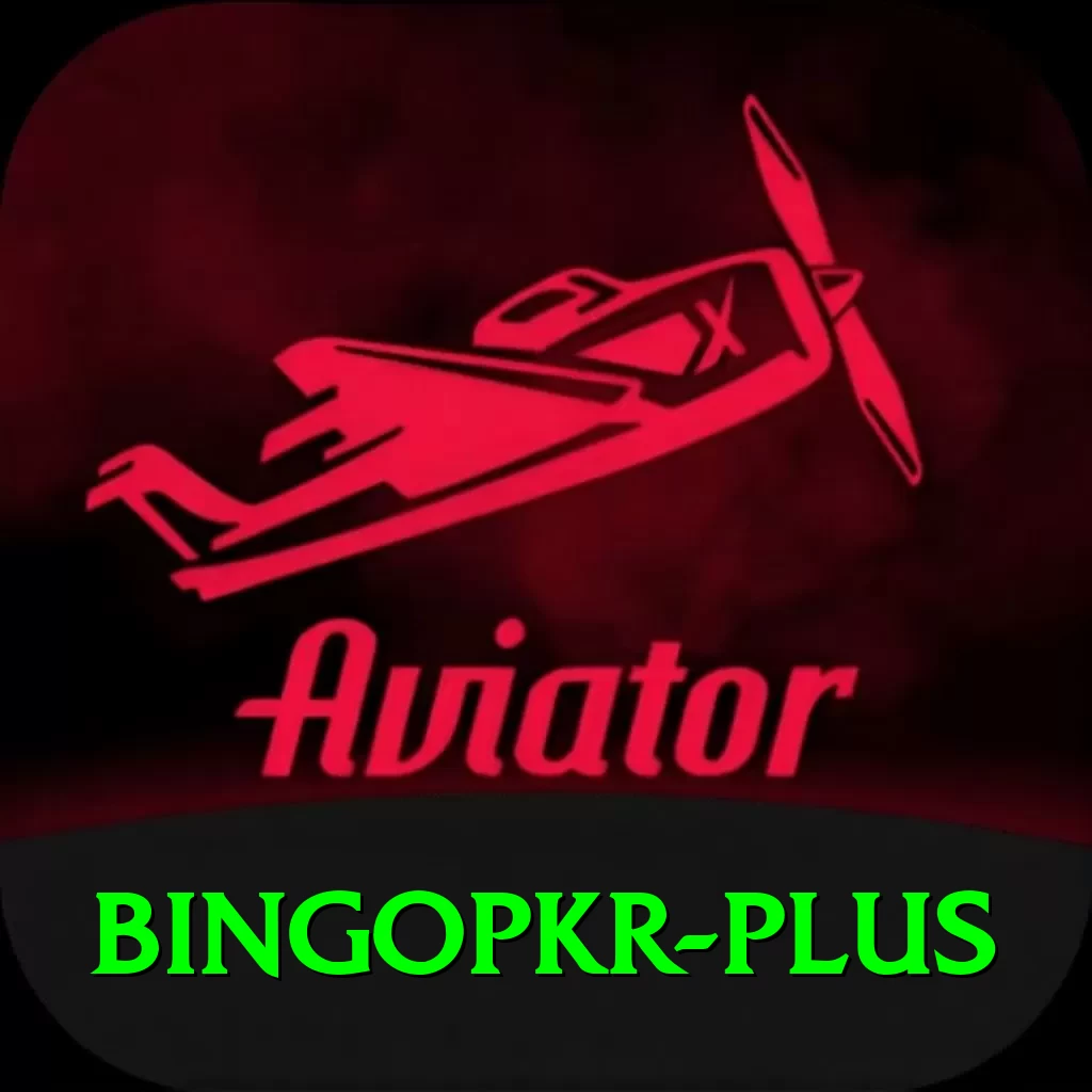 bingopkr Pro v3.6.2 - 2