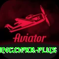 bingopkr Pro v3.6.2