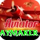 cam playmaker Gold Pro v4.9.9