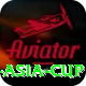cricbuzz asia cup VIP v3.4.5