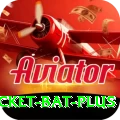 cricket bat APK Royal v1.1.0