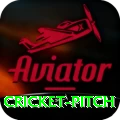 cricket pitch Pro v3.3.3