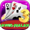dawid malan Plus Edition v4.0.6
