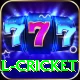 defending total cricket Games (Casino & Earning) Ultimate v4.8.4