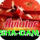diamer bhasha dam Pro Edition v2.0.3