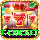 early payout cricket Master v2.6.4