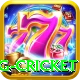 eng cricket Turbo Pro v4.7.2