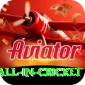 fastest ball in cricket Gold v3.5.6