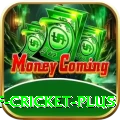 god of cricket Casino Premium v5.3.3