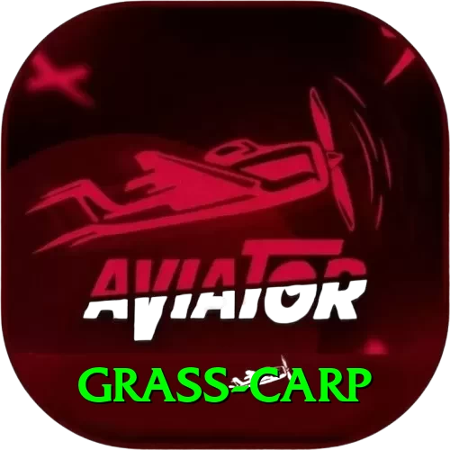 grass carp Premium Plus v3.5.2 - 2
