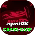 grass carp Premium Plus v3.5.2