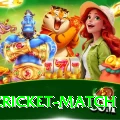 india cricket match Gold Edition v3.0.1