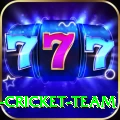 ireland cricket team Apps (Tools & Injectors) Ultimate v4.1.9