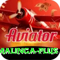 lasith malinga Slots Premium v2.7.7