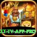 live cricket tv app Pro - Daily Bonus