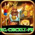 make money betting cricket pk Premium Plus v1.7.9