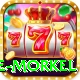 morne morkel VIP v4.6.4