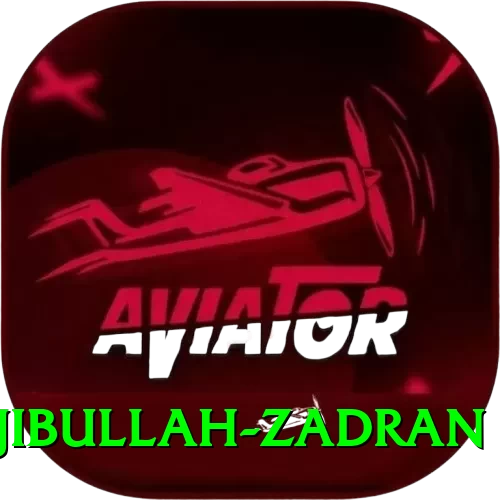 najibullah zadran Pro1 v4.8.2 - 2
