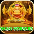 naseem shah yorkers Games (Casino & Earning) Gold v1.2.3