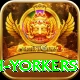 naseem shah yorkers Games (Casino & Earning) Gold v1.2.3