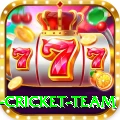 netherlands cricket team Pro1 v1.1.0
