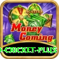 new zealand cricket Casino VIP v1.0.8