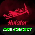 odi cricket Premium Edition v1.6.4