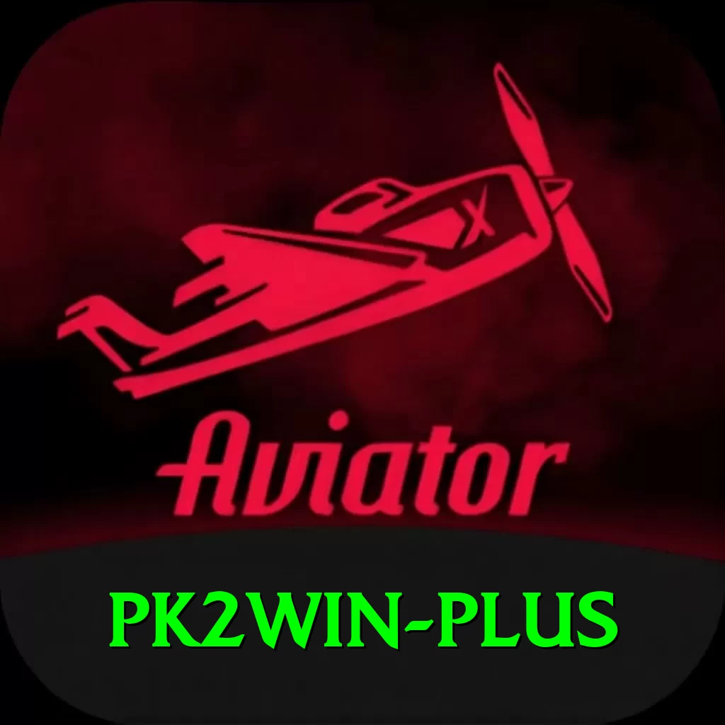 pk2win VIP v3.9.0 - 2