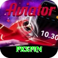 pkspin Premium v1.2.9