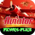 pkwin Pro1 v1.9.0