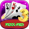 pkzz Pro Edition v4.8.3