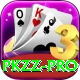 pkzz Pro Edition v4.8.3