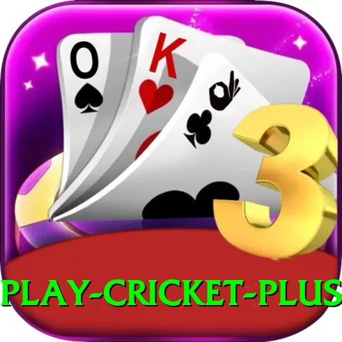 play cricket Premium New - 2