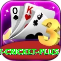 play cricket Premium New
