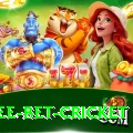 risk free bet cricket Gold v4.1.7