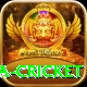 sa cricket Elite v3.1.2