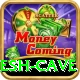 siddhi ganesh cave Pro Max v2.8.1