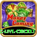 smartcric live cricket VIP