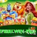 spribewin Pro1 v5.5.6