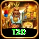 t20 Turbo Pro v4.5.2