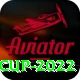 t20 world cup 2022