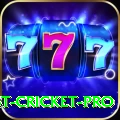 test cricket Bonus Ultimate v3.8.0