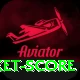 test cricket score Plus v2.0.7