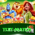test match VIP Edition v5.9.9