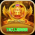 tiger888 Max v2.8.5