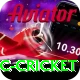 uc cricket Gold Edition v3.5.9