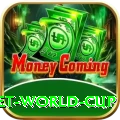 under 19 cricket world cup Elite v2.1.3