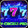 v cricket Ultimate 2024